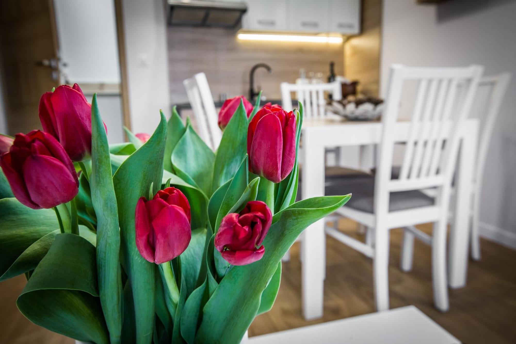 Apartamenty Przy Skoczni Щирк Екстериор снимка